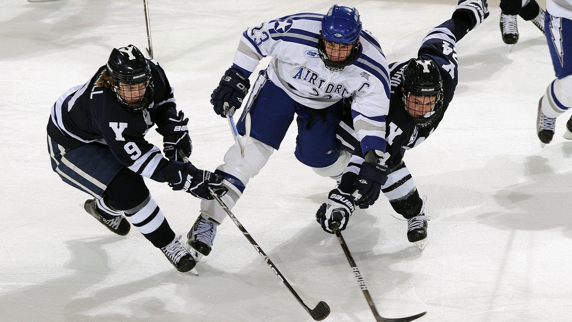 羽毛球赛场焦点！荷兰队对阵中国队，核心球员受伤，球队前景蒙阴影